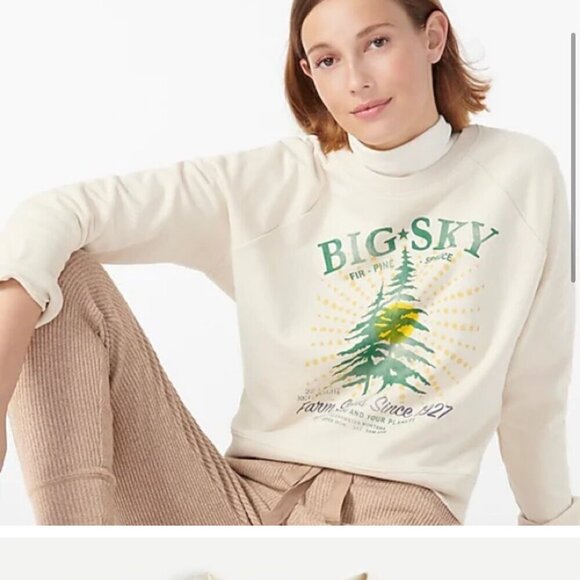 J. Crew Big Sky Graphic Cotton Terry Pullover Sweatshirt - Picture 13 of 13